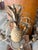 Bring grand Palm Beach scale and classic hospitality into your home with this spectacular vintage Hollywood Regency...