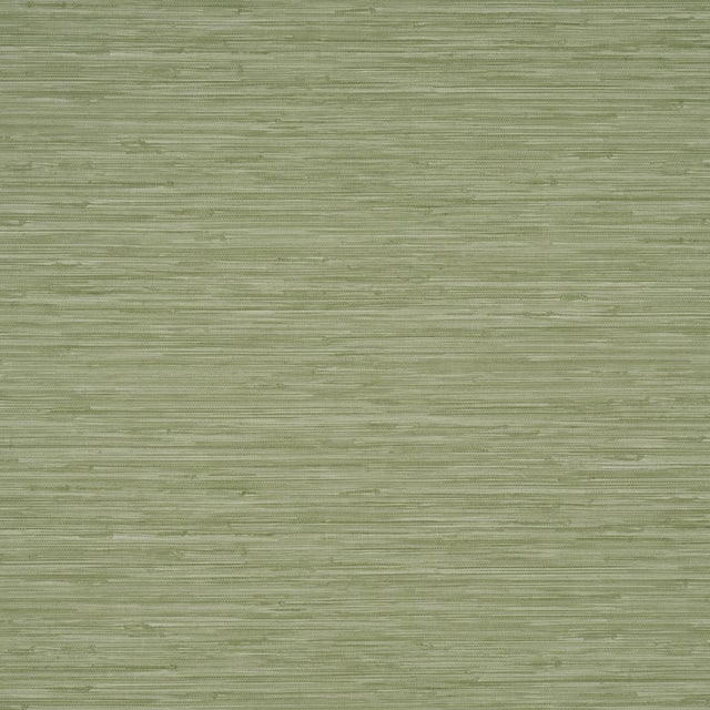 SAMPLE - Schumacher Horizon Grasscloth Vinyl Wallpaper In Leaf For Sale
