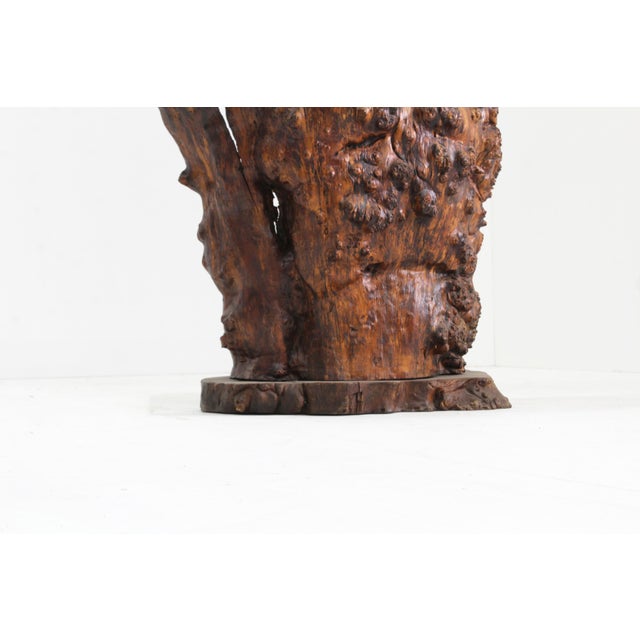 Wood Vintage Brutalist Tree Trunk Console Bar, 1970s For Sale - Image 7 of 8
