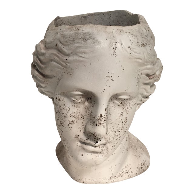 Weathered Venus Bust Head Planter Chairish