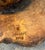 Horse Head Hardwood Chainsaw Carving For Sale - Image 14 of 14