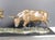 Don Hunt "The Exchange" Bulle&bear Bronze Sculpture Beautiful Art Rare! Obo For Sale - Image 4 of 10