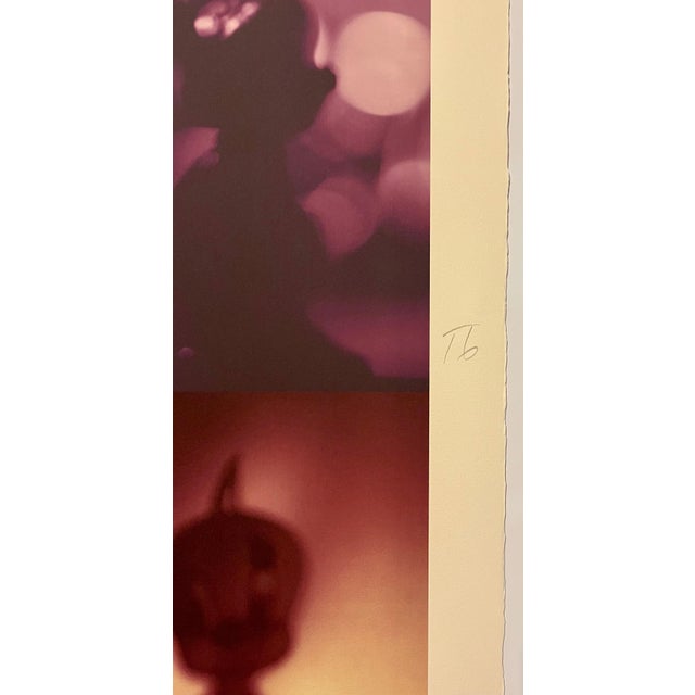 Paper Todd Gray, Color Iris Photo Print Conceptual Shadow Cartoons Polyptych Photograph Todd Gray, c.1997 For Sale - Image 7 of 10
