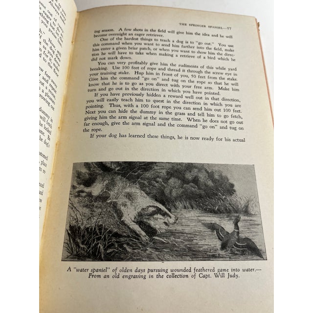 1951 the Springer Spaniel by Maxwell Riddle Book | Chairish