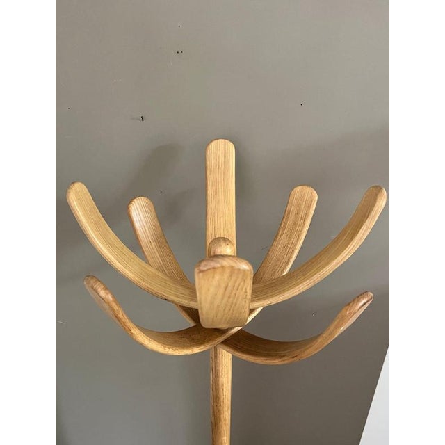 Cactus Coat Rack by Mauro Pasquinelli for Pallavisini, 1970s For Sale - Image 6 of 13