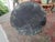 Copper Early 20th Century Copper Lidded Wash Barrel - Firewood Holder For Sale - Image 8 of 11