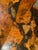 Amber Vintage Redwood Burl Tree Trunk Coffee Table – Sculptural Organic Modern Design For Sale - Image 8 of 9