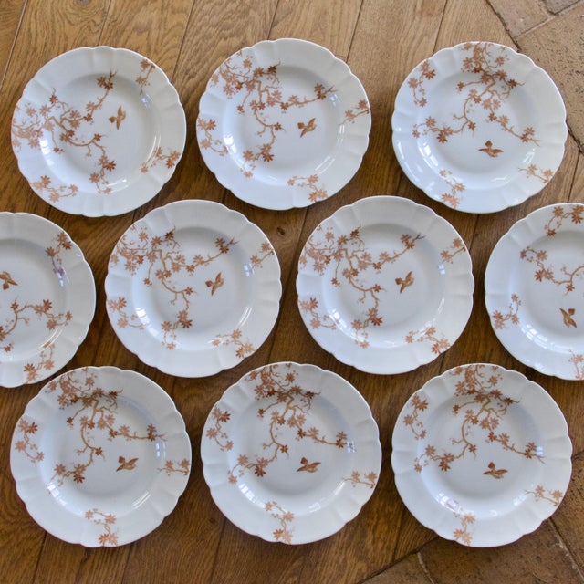 Vintage Limoges Porcelain Plates from Haviland, 1930s, Set of 10 For Sale - Image 3 of 7