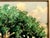 Impressionist Water’s Edge Tropical Landscape With Banyan Tree For Sale - Image 4 of 10