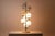 Gino Sarfatti Nine-Light Floor Lamp by Gino Sarfatti for Arteluce, 1960s For Sale - Image 4 of 10