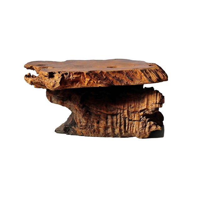 Brown Burlwood Table Live Edge For Sale - Image 8 of 11