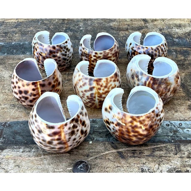 Vintage Sliced Shell Napkin Holders - Set of 8 For Sale - Image 10 of 12