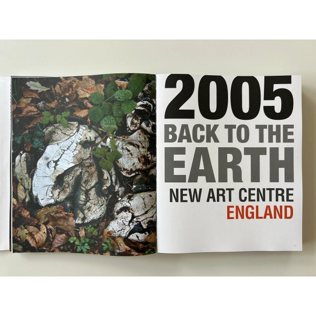 2010s Art Book- Fernando Casasempere Works Obras 1991-2016 For Sale - Image 5 of 12