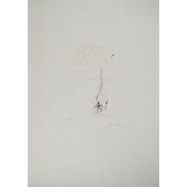 Salvador Dali, Henry III, Original Engraving For Sale - Image 6 of 6