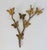 Mid 20th Century Vintage Brass Butterflies on Branch Wall Hanging For Sale - Image 5 of 8