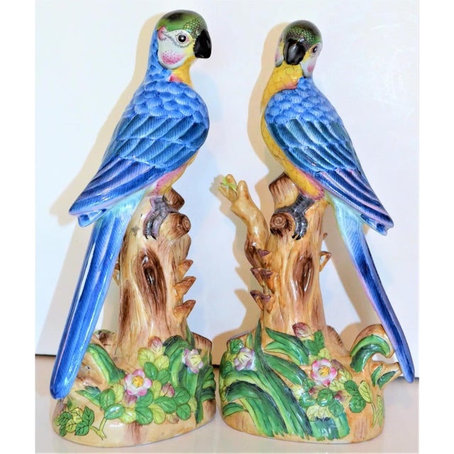 This is a beautiful set of blue majolica parrots in a Chinese Import style detail. They have blue back feathers, golden...