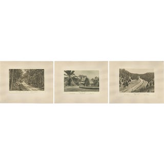 Photogravures of Sumatra Plantations, 1890s, Paper, Set of 3 For Sale