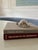 A charming silver plated vintage snail butter dish that brings a touch of whimsy and sophistication to the table....