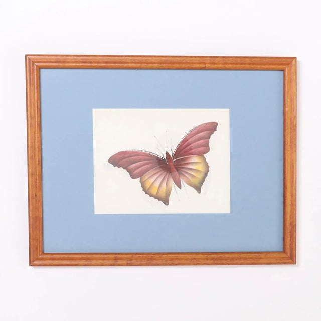 Paint Vintage Set of Six Moth Watercolors For Sale - Image 7 of 7