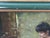 Late 19th Century Attributed Sophie-Vera Bovet Large Vivid Floral Figurative Oil Painting, Green & Gold Gilt Frame For Sale - Image 15 of 17