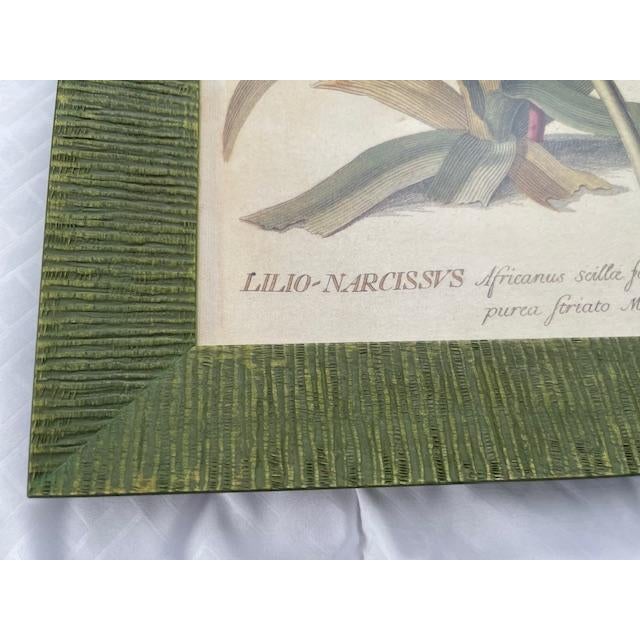 Vintage Wood Framed Botanical Prints For Sale - Image 9 of 12