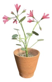 Example of New & Custom Objects & Oddities