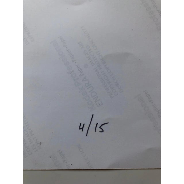 2000 - 2009 Peter C. Jones 1, Checkered Alliums, Large Format Photo 24X20 Color Photograph Beach House RI, 2008 For Sale - Image 5 of 7