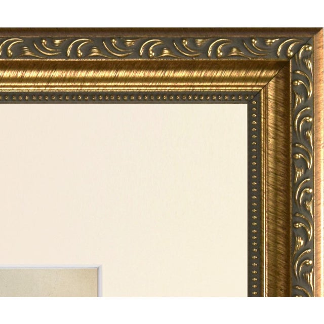 Mid 19th Century 19th Century English Handcolored Hunting Dog/ Hound Engraving by Goldsmith For Sale - Image 5 of 5