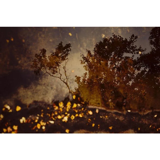 The picturesque Lake of Banyoles, Catalonia’s largest natural freshwater lake, is the subject of Llorens’ photographs....