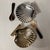 Sanibel Shell Tray- Polished Nickel