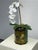 Design Plus Gallery presents the 19th-Century Savage Land Painted Tole Canister. The octagonal metal vessel displays a...