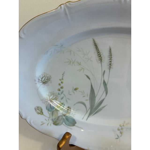 Mid 20th Century Vintage Forest Bavaria "Harvest" Botanical Porcelain Platter For Sale - Image 5 of 9