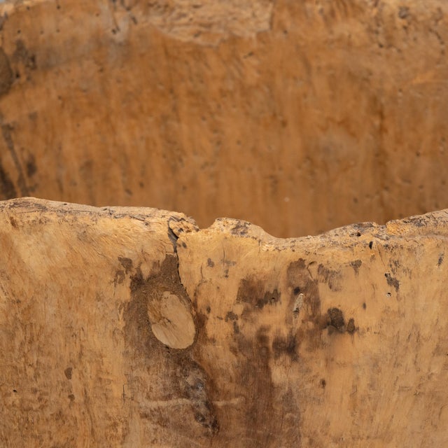 Organic Courtyard Grain Container, C. 1900 For Sale - Image 4 of 5