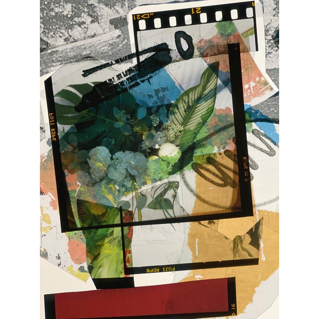 Early 21st Century "Summer Flowers In The Catskills" Abstract Expressionist Print by Peter Astrom For Sale In New York - Image 6 of 13