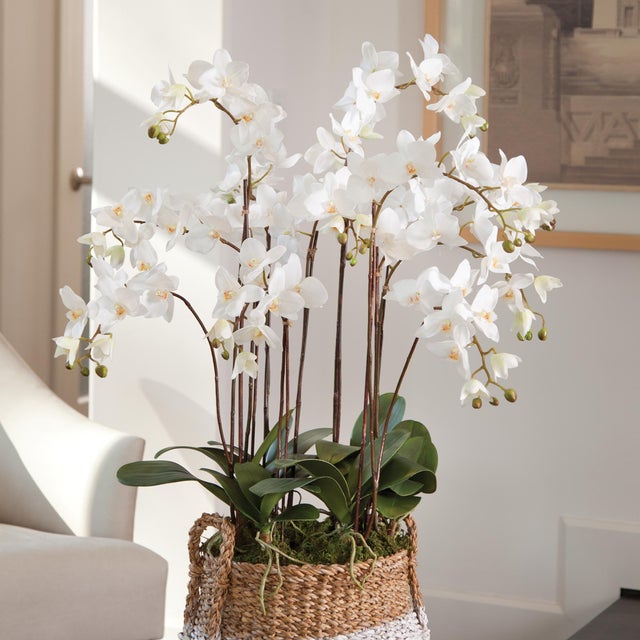 100% realistic a perfect copy of nature. This dropin is a nomaintenance work of art. Right down to the carefully crafted...