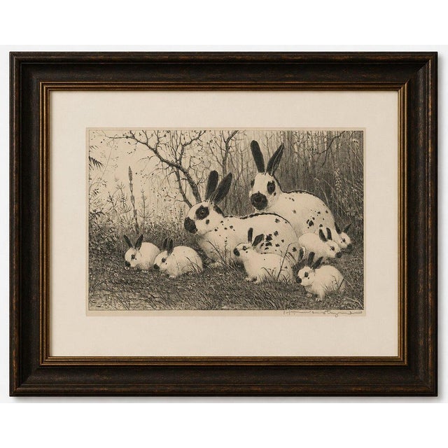 English Spot Rabbits – Wildlife Lithograph by Henri Verstijnen, c.1925 This charming wildlife lithograph by the Dutch...