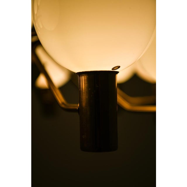 Gold Model T-372/15 Ceiling Lamp attributed to Hans-Agne Jakobsson, 1950s For Sale - Image 8 of 9