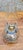 Metal Vintage Limited Edition Clear Ribbed Glass Oil Lamp With Chimney & Brass Gallery For Sale - Image 7 of 11