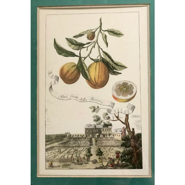 German artist Volkamer made these beautiful illustrations, each with a different Italian architectural landscape at the...