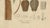 Swietenia Mahagoni, 1800s, Paper For Sale - Image 5 of 10