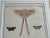 Late 18th Century Antique Natural History Moth Art Print For Sale - Image 5 of 11