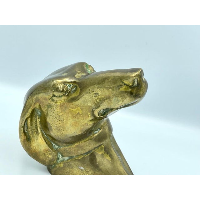 1950s French Brass Greyhound Head, 1950s For Sale - Image 5 of 12