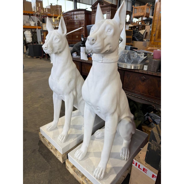 Monumental Hand-Carved White Marble Doberman Statues, Set of 2 For Sale - Image 3 of 5
