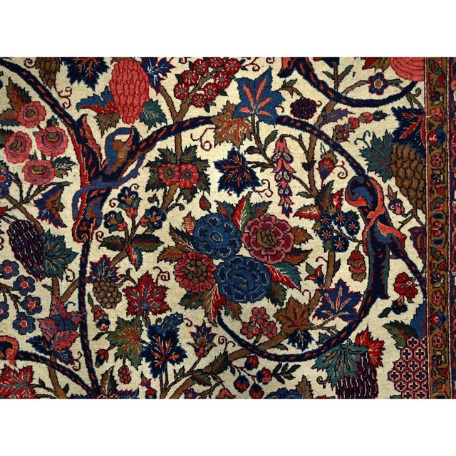 This fabulous Hand-Knotted carpet has been created and designed for extra strength and durability. This rug has been...