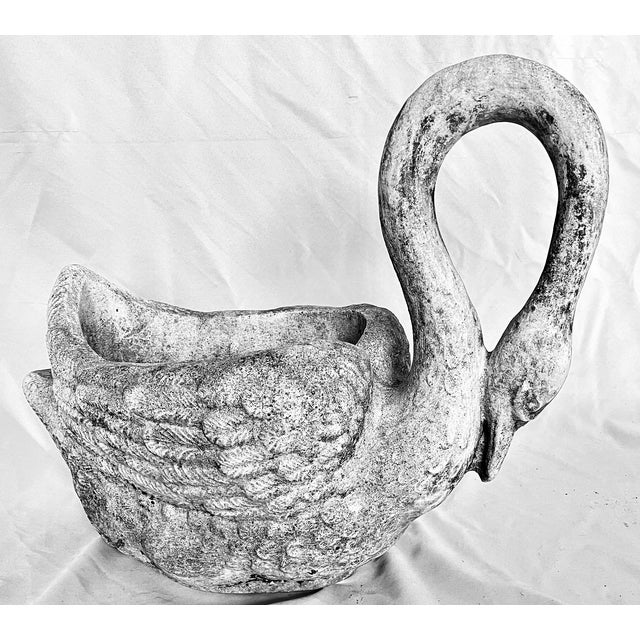 Early 1900s Antique French Concrete Swan Planter For Sale - Image 15 of 17