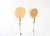 Mid-Century Modern Uchiwa Wall Lamps by Ingo Maurer for M Design, 1970s, Set of 2 For Sale - Image 3 of 14