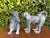Vintage Cast Bronze Monkey Sculptures, 7.25”, Pair For Sale - Image 12 of 12