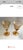 Art Deco 1920s Cambridge Glass Amber Etch No. 704 Water Goblets & Flat Soda Tumblers – Set of 4 For Sale - Image 3 of 4