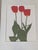 Henry Evans Botanical Linocut Prints Framed- Set of 4 For Sale - Image 10 of 17