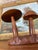 Traditional Vintage Mid-Century Hand-Carved Monkey Pod Wood Mushroom Sculpture by Leilani, Made in Philippines. For Sale - Image 3 of 10